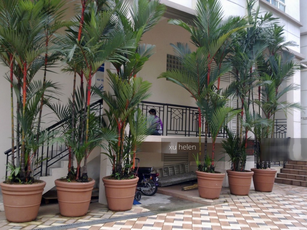 Claremont (D9), Apartment #218824261